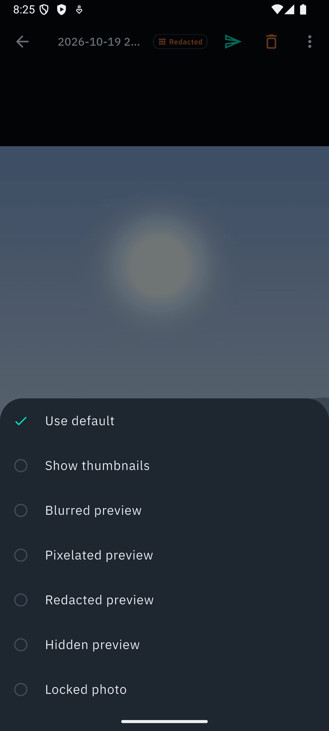 Preview style choices for one photo: thumbnail, blurred, pixelated, redacted, hidden or locked.